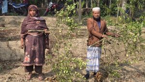 inbound1995030345645002178-300x169 কালকিনিতে কৃষকলীগ নেতার নেতৃত্বে কৃষকের শতাধীক ফলজ গাছ কাটার অভিযোগ ॥ বিচারের দাবীতে বিক্ষোভা